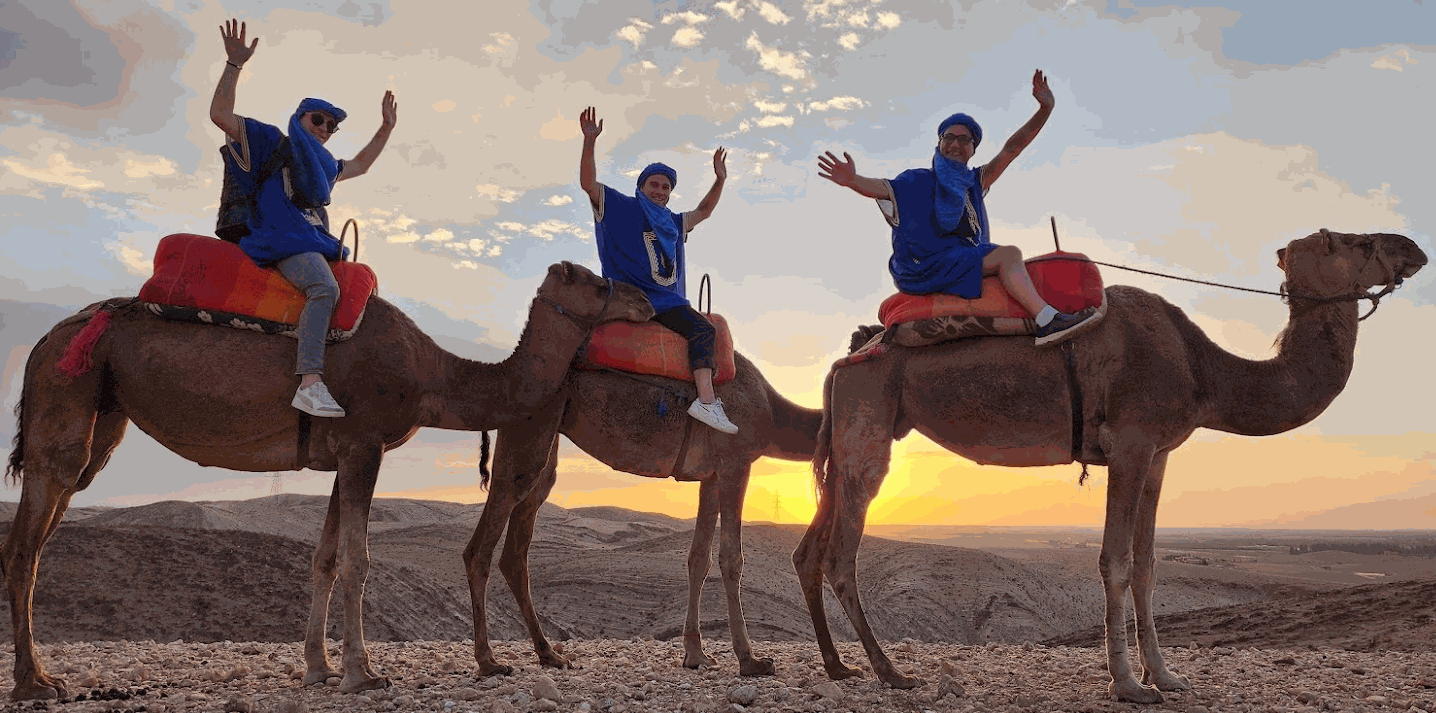 Les Numigiens en quête de partenaires en Afrique - Julien, Quentin et Bruno à dos de dromadaires | Intégrateur Odoo ERP community Konvergo à Longueuil (Montréal-Québec-Canada) | Maroc - Agafay près de Marrakech